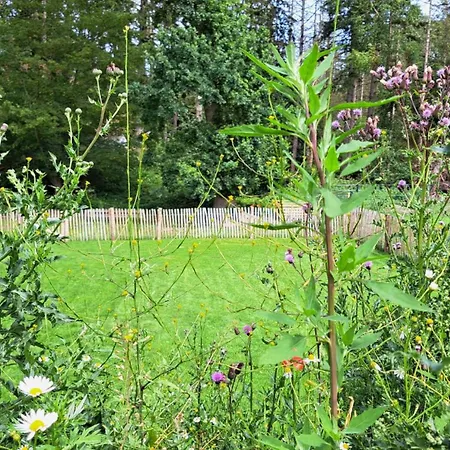 Kuestenwaldbude Lee בית נופש