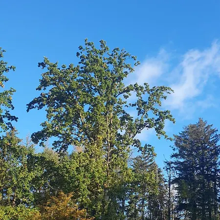 בית נופש Kuestenwaldbude Lee