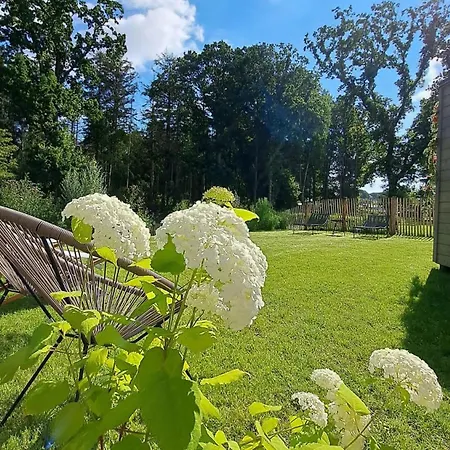Küstenwaldbude Lee *