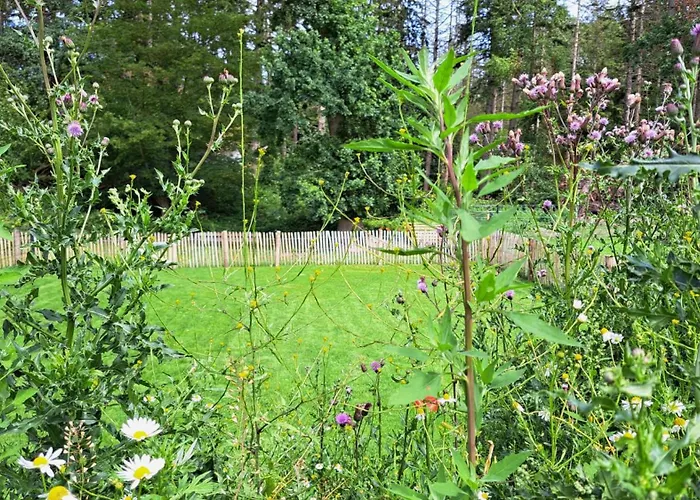 Kuestenwaldbude Lee Casa de Férias