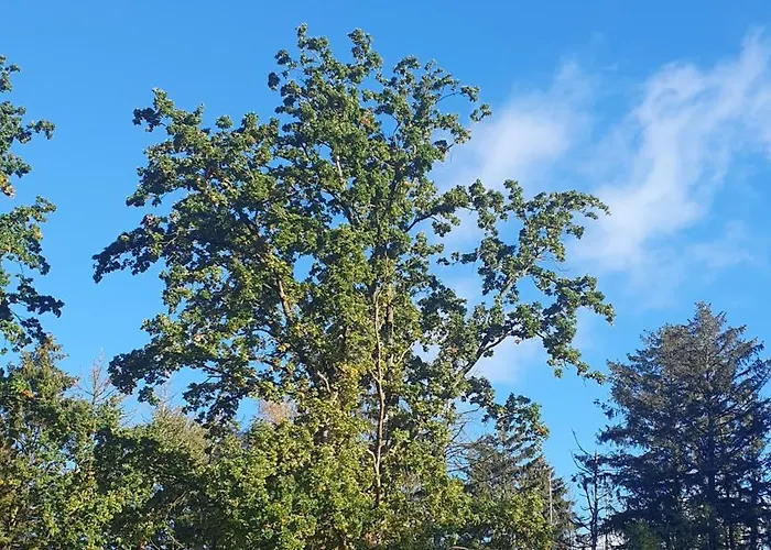 Casa de Férias Kuestenwaldbude Lee